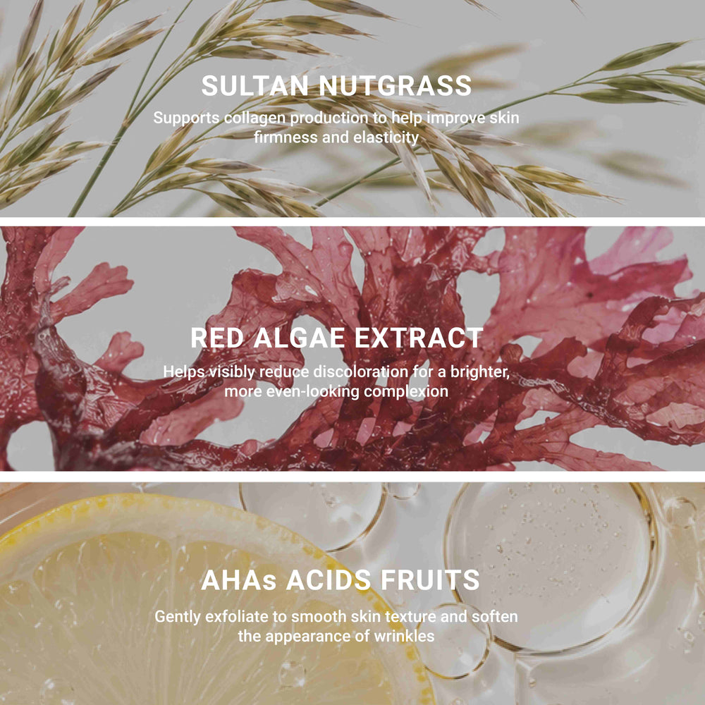 Le Masque Excellence Code