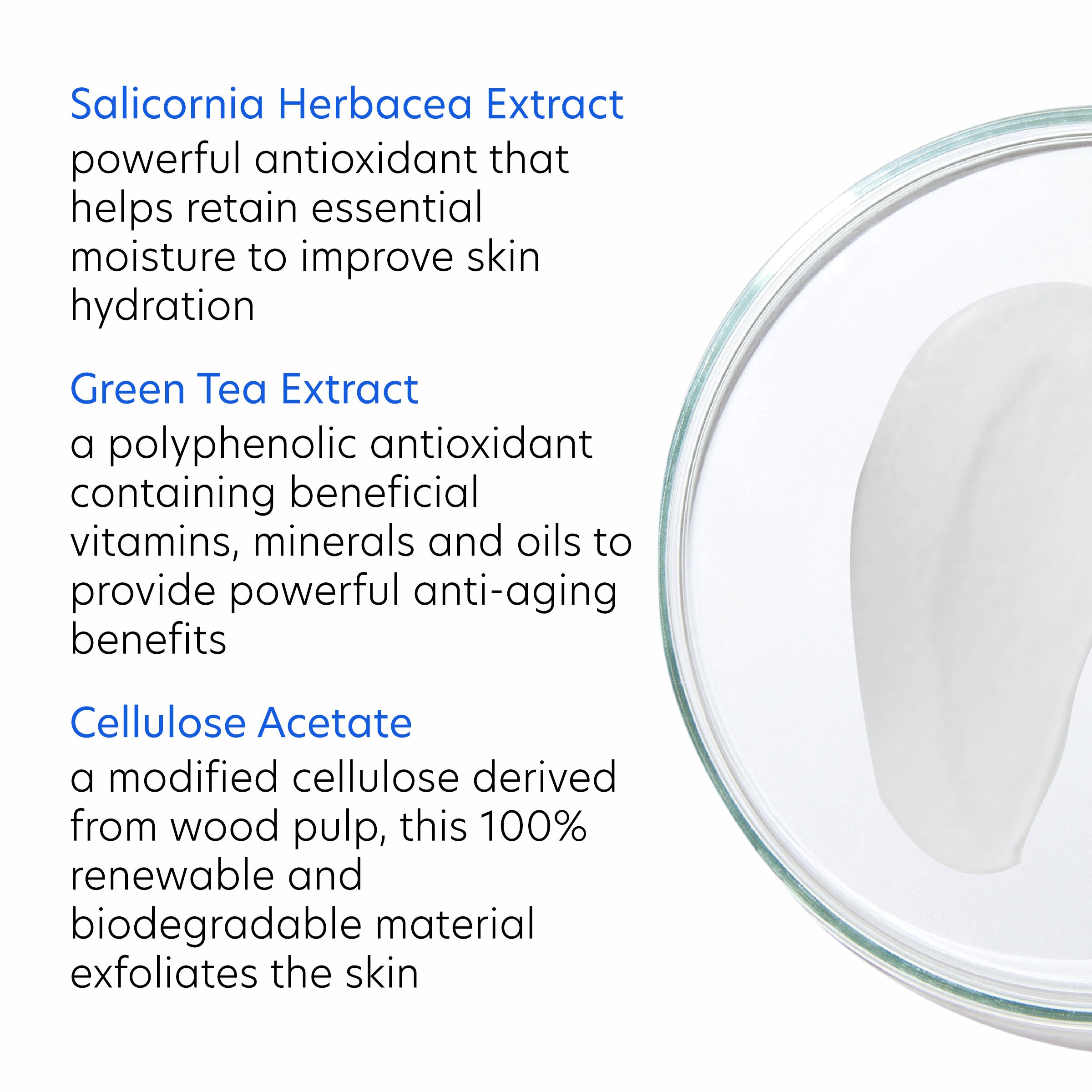 Glass container with text about Salicornia Herbacea Extract, Green Tea Extract, and Cellulose Acetate on a white background.