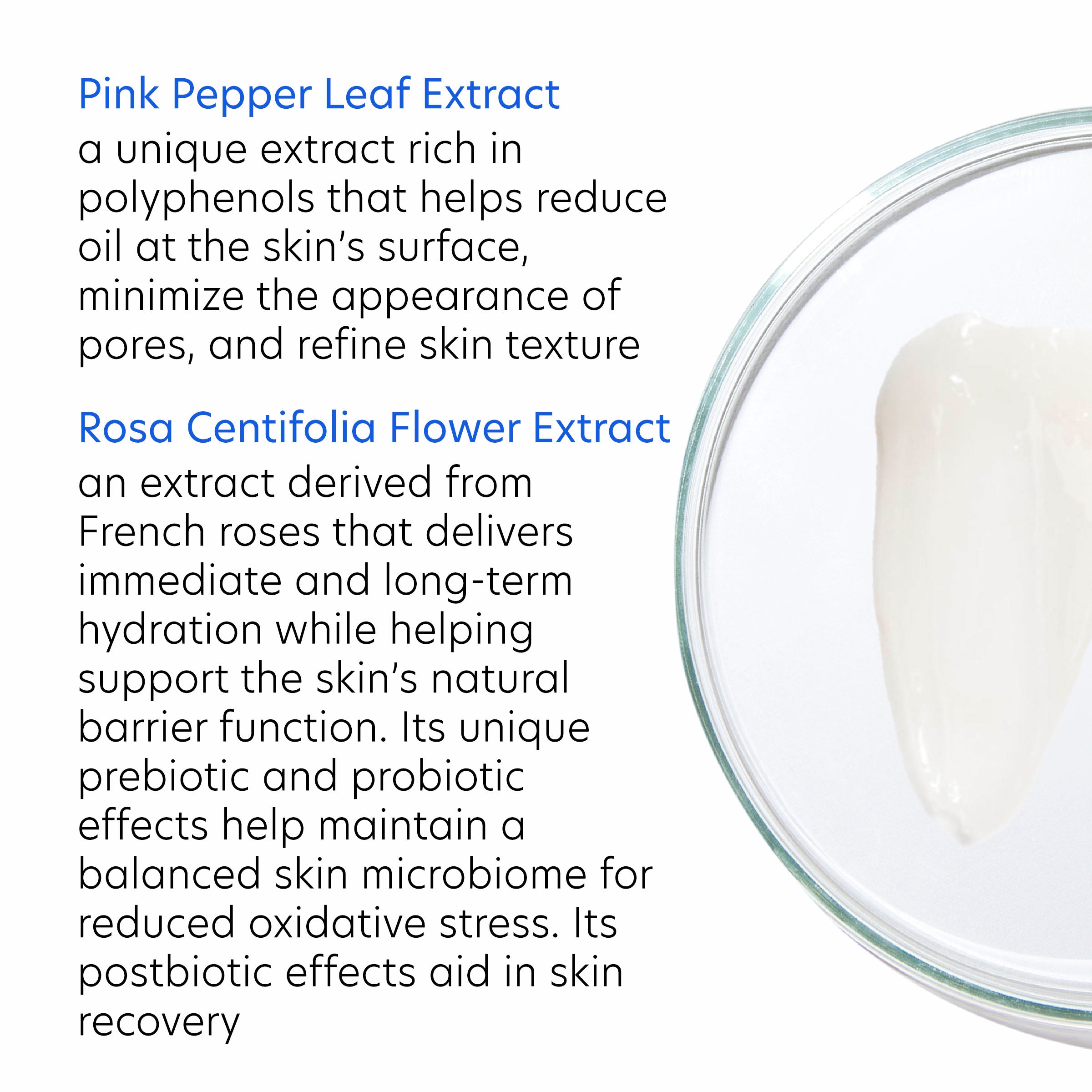Glass container with white cream and text about pink pepper leaf extract and rosa centifolia flower extract.