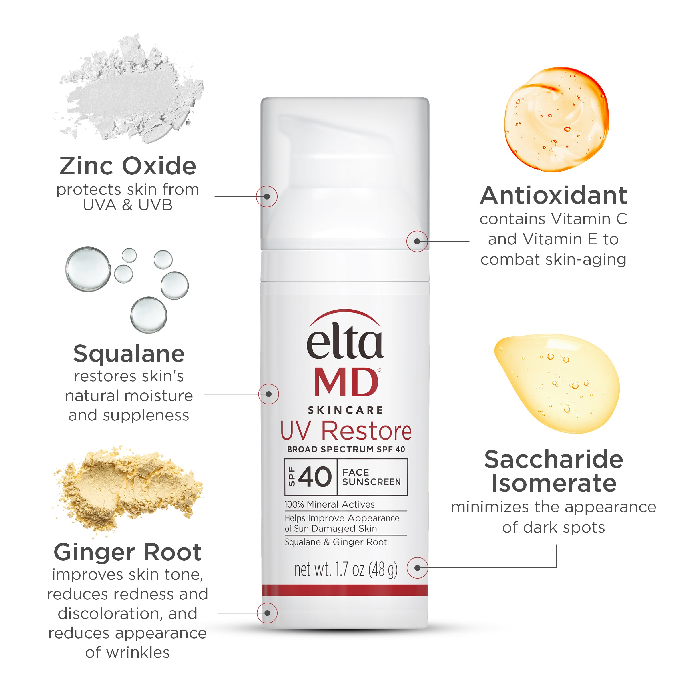 Elta MD UV Restore sunscreen packaging with ingredients labeled on a white background