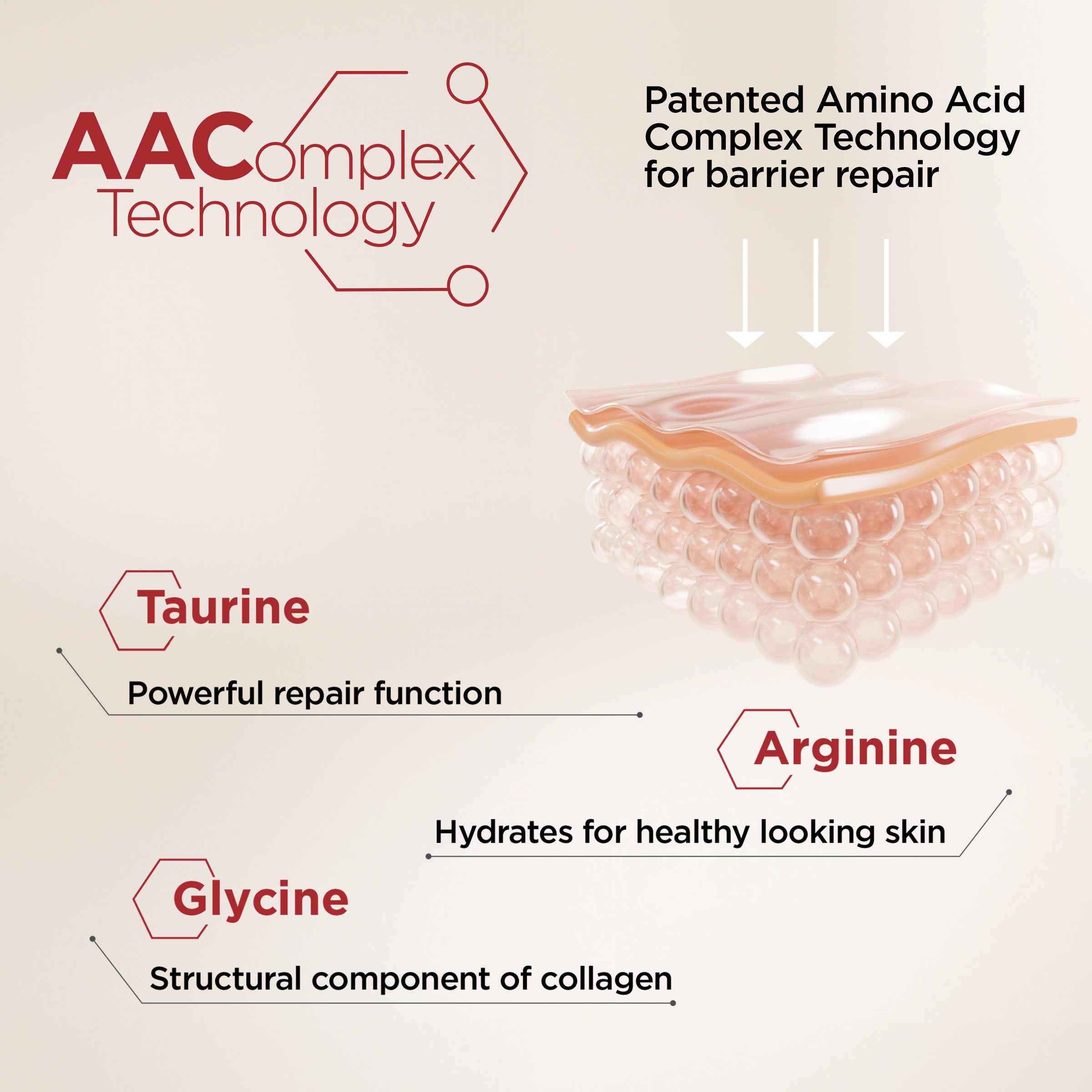 Diagram of AAC Complex Technology for barrier repair with amino acids taurine, arginine, and glycine.